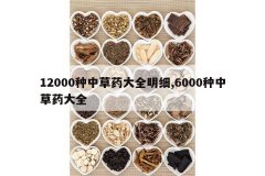 <b>12000���в�ҩ��ȫ��ϸ,6000���в�ҩ��ȫ</b>