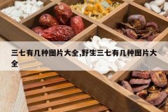 <b>�����м���ͼƬ��ȫ,Ұ�������м���ͼƬ��ȫ</b>