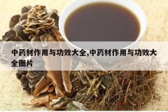 <b>��ҩ�������빦Ч��ȫ,��ҩ�������빦Ч��ȫͼƬ</b>