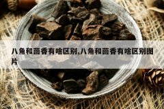 <b>�˽Ǻ�������ɶ����,�˽Ǻ�������ɶ����ͼƬ</b>