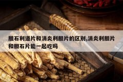 <b>��ʯ����Ƭ����������Ƭ������,��������Ƭ�͵�ʯƬ��һ�����</b>