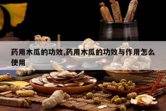 <b>ҩ��ľ�ϵĹ�Ч,ҩ��ľ�ϵĹ�Ч��������ôʹ��</b>