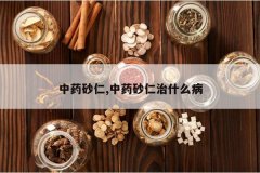 <b>��ҩɰ��,��ҩɰ����ʲô��</b>