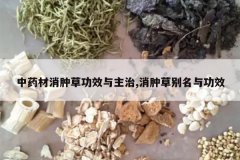 <b>��ҩ�����ײݹ�Ч������,���ײݱ����빦Ч</b>