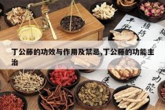 <b>�����ٵĹ�Ч�����ü�����,�����ٵĹ�������</b>