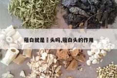 <b>ޯ�׾���ˊͷ��,ޯ��ͷ������</b>