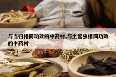 <b>�뵱����ͬ��Ч����ҩ��,���������ͬ��Ч����ҩ��</b>