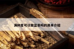<b>ǿ辰ļ򵥽</b>