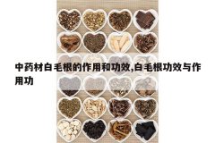 <b>��ҩ�İ�ë�������ú͹�Ч,��ë����Ч�����ù�</b>