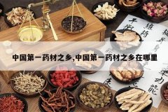 <b>�й���һҩ��֮��,�й���һҩ��֮��������</b>