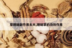 <b>��ɺ��������̫��,ɺ���ݵĹ�Ч����</b>