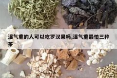 <b>ʪ���ص��˿��Գ��޺�����,ʪ�����������ֲ�</b>