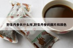 <b>Ұ�����γ�ʲô��,Ұ�����ε�ͼƬ����ɫ</b>