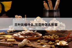 <b>��Ҷ����ʲô,����Ҷ��ô����</b>