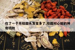 <b>����һ���¹�Բͷ�������,��Բ����������湦Ч</b>