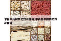 <b>է����ҩ�ĵĹ�Ч������,��ҩ��ţϥ�Ĺ�Ч������</b>