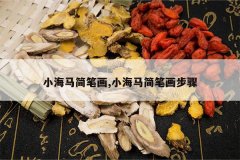 <b>С������ʻ�,С������ʻ�����</b>