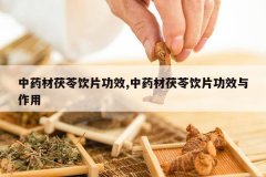 <b>��ҩ��������Ƭ��Ч,��ҩ��������Ƭ��Ч������</b>