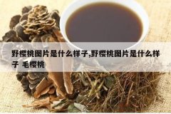 <b>Ұӣ��ͼƬ��ʲô����,Ұӣ��ͼƬ��ʲô���� ëӣ��</b>