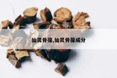 <b>�������,�������ɷ�</b>