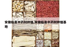 <b>������Ȫ��ҩ����ֲ,������Ȫ��ҩ����ֲ����</b>