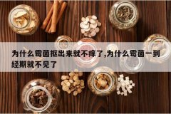 <b>Ϊʲôù���ٳ����Ͳ�����,Ϊʲôù��һ�����ھͲ�����</b>