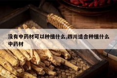 <b>û����ҩ�Ŀ�����ֲʲô,�Ĵ��ʺ���ֲʲô��ҩ��</b>