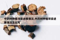 <b>��ҩ����ֲ��Ŀ��չ���,��ҩ����ֲ��Ŀ��չ�����ôд</b>