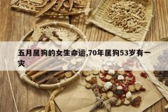 <b>����������Ů������,70������53����һ��</b>