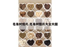 <b>������ͼƬ,������ͼƬ��ȫ��ͼ</b>