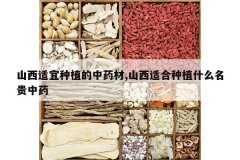 <b>ɽ��������ֲ����ҩ��,ɽ���ʺ���ֲʲô������ҩ</b>