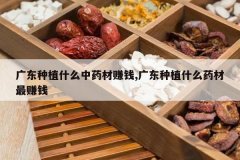 <b>�㶫��ֲʲô��ҩ��׬Ǯ,�㶫��ֲʲôҩ����׬Ǯ</b>