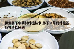 <b>̽��������ҩ����ֲ����,�����в�ҩ��ֲ���ؿ����Լƻ�</b>