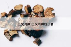 <b>�����ާ,�����ާ������</b>