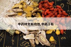 <b>��ҩ��Ƿʯ��Ч,��ҩ��ʯ</b>