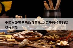 <b>��ҩ��ɳԷ�ӹ�Ч�����,ɳԷ����轲�Ĺ�Ч�����</b>