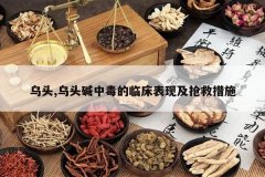 <b>��ͷ,��ͷ���ж����ٴ����ּ����ȴ�ʩ</b>