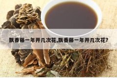 <b>Ʈ����һ�꿪���λ�,Ʈ����һ�꿪���λ�?</b>