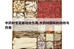 <b>��ҩ��ѩ���ٹ�Ч����,��ҩ����µĹ�Ч������</b>