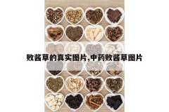 <b>�ܽ��ݵ���ʵͼƬ,��ҩ�ܽ���ͼƬ</b>