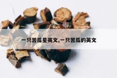 <b>һֻ�����Ӣ��,һֻ��ϵ�Ӣ��</b>