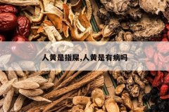 <b>�˻���ָʺ,�˻����в���</b>