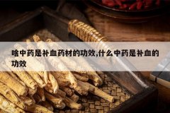 <b>ɶ��ҩ�ǲ�Ѫҩ�ĵĹ�Ч,ʲô��ҩ�ǲ�Ѫ�Ĺ�Ч</b>