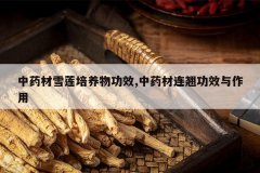 <b>��ҩ��ѩ�������﹦Ч,��ҩ�����̹�Ч������</b>