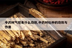 <b>��ҩ��������ʲô��Ч,��ҩ�Ķ��ٵĹ�Ч������</b>