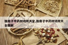 <b>��������ҩ�Ĺ�Ч��ȫ,��������ҩ�Ĺ�Ч��ȫͼ��</b>