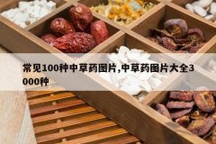 <b>����100���в�ҩͼƬ,�в�ҩͼƬ��ȫ3000��</b>