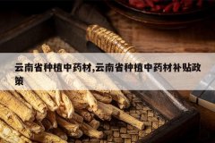 <b>����ʡ��ֲ��ҩ��,����ʡ��ֲ��ҩ�Ĳ�������</b>