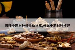 <b>������ҩ����ֲ�Լ۱ȸ�,ʲô��ҩ����ֲ��</b>