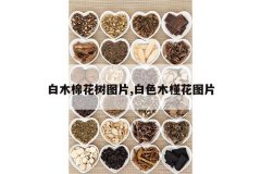 <b>��ľ�޻���ͼƬ,��ɫľ�Ȼ�ͼƬ</b>